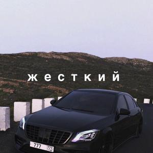 国产精品久久模特
