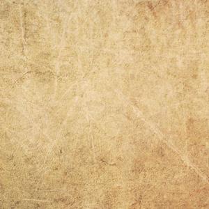 国产精品久久模特
