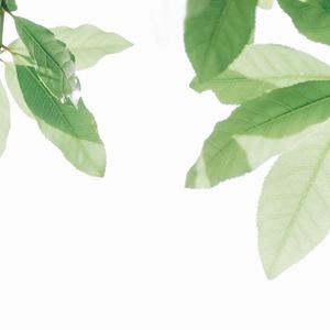 国产精品久久模特
